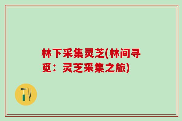 林下采集灵芝(林间寻觅:灵芝采集之旅) 林下采集灵芝(林间寻觅:灵芝采集之旅)