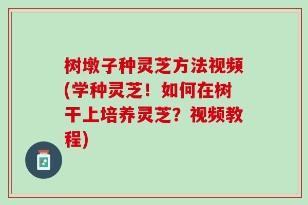 树墩子种灵芝方法视频(学种灵芝！如何在树干上培养灵芝？视频教程)
