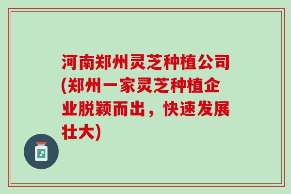 河南郑州灵芝种植公司(郑州一家灵芝种植企业脱颖而出，快速发展壮大)