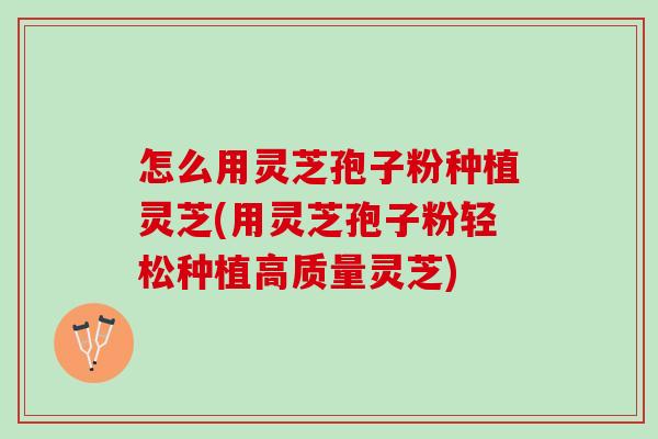 怎么用灵芝孢子粉种植灵芝(用灵芝孢子粉轻松种植高质量灵芝)