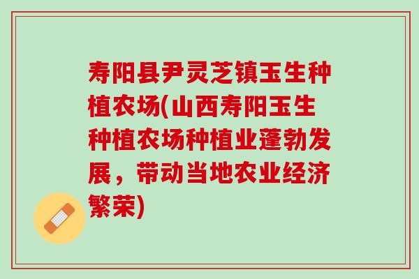 寿阳县尹灵芝镇玉生种植农场(山西寿阳玉生种植农场种植业蓬勃发展，带动当地农业经济繁荣)
