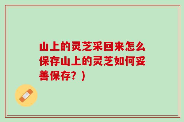 山上的灵芝采回来怎么保存山上的灵芝如何妥善保存？)