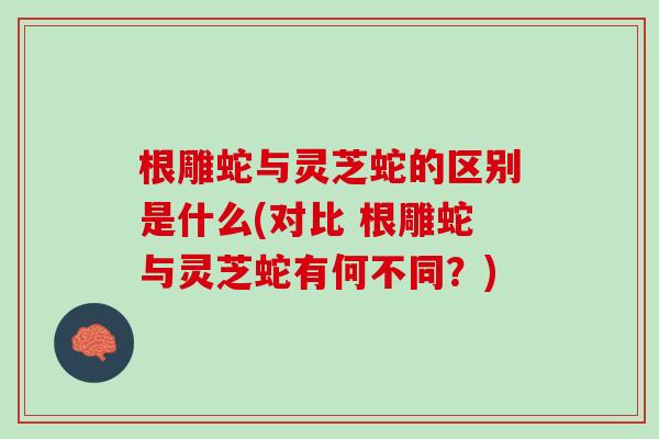 根雕蛇与灵芝蛇的区别是什么(对比 根雕蛇与灵芝蛇有何不同？)