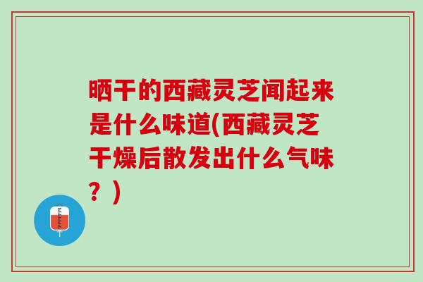 晒干的西藏灵芝闻起来是什么味道(西藏灵芝干燥后散发出什么气味？)