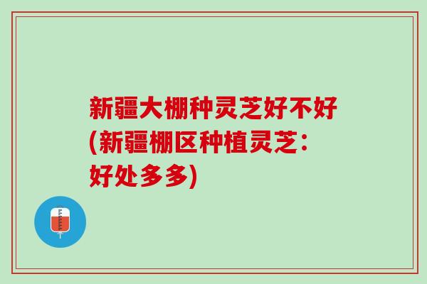 新疆大棚种灵芝好不好(新疆棚区种植灵芝：好处多多)
