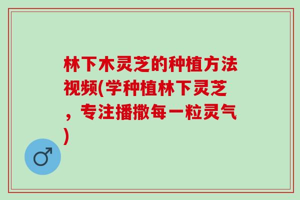 林下木灵芝的种植方法视频(学种植林下灵芝，专注播撒每一粒灵气)