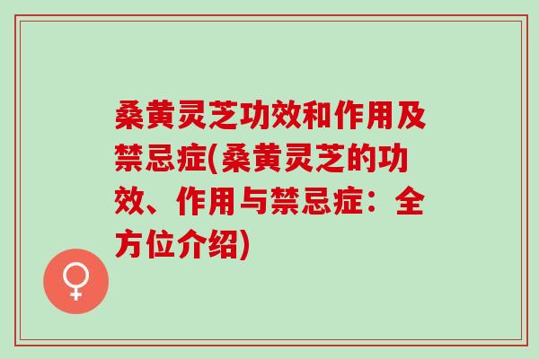 桑黄灵芝功效和作用及禁忌症(桑黄灵芝的功效、作用与禁忌症：全方位介绍)