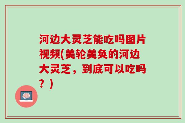 河边大灵芝能吃吗图片视频(美轮美奂的河边大灵芝，到底可以吃吗？)