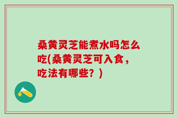 桑黄灵芝能煮水吗怎么吃(桑黄灵芝可入食，吃法有哪些？)