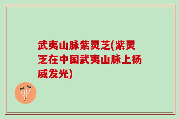 武夷山脉紫灵芝(紫灵芝在中国武夷山脉上扬威发光)