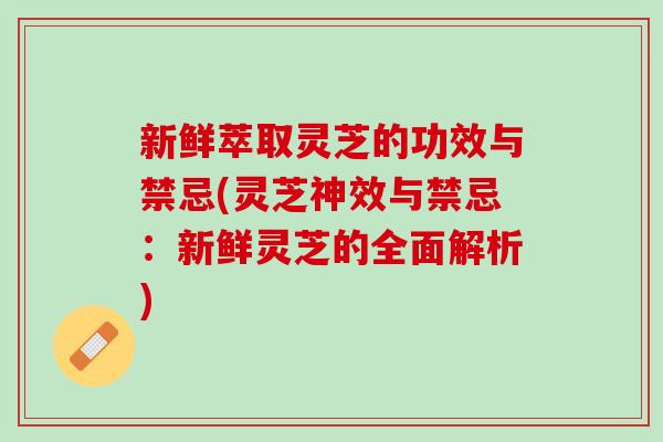 新鲜萃取灵芝的功效与禁忌(灵芝神效与禁忌:新鲜灵芝的全面解析) 新鲜萃取灵芝的功效与禁忌(灵芝神效与禁忌:新鲜灵芝的全面解析)