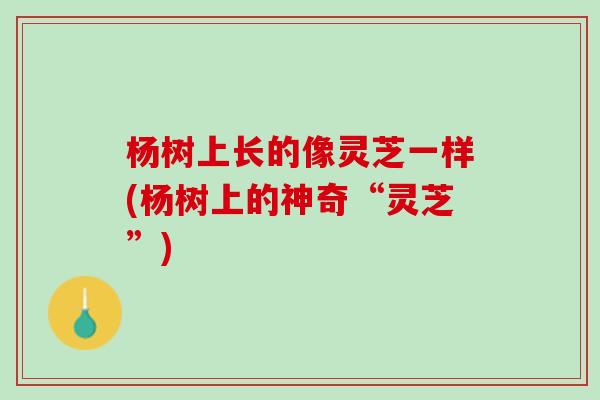 杨树上长的像灵芝一样(杨树上的神奇“灵芝”)