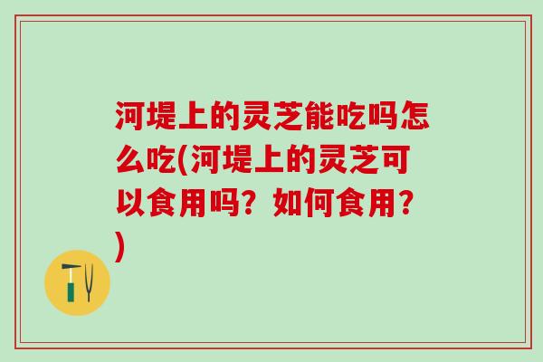 河堤上的灵芝能吃吗怎么吃(河堤上的灵芝可以食用吗？如何食用？)