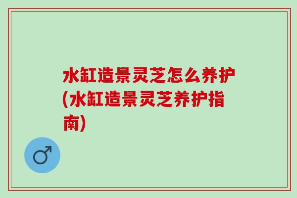 水缸造景灵芝怎么养护(水缸造景灵芝养护指南) 水缸造景灵芝怎么养护(水缸造景灵芝养护指南)