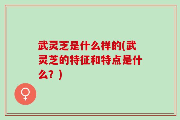 武灵芝是什么样的(武灵芝的特征和特点是什么?) 武灵芝是什么样的(武灵芝的特征和特点是什么?)