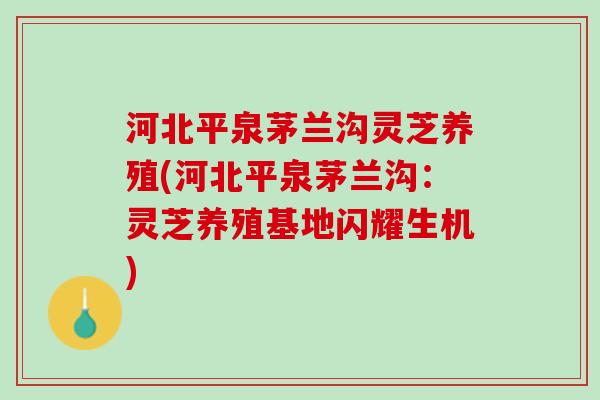 河北平泉茅兰沟灵芝养殖(河北平泉茅兰沟:灵芝养殖基地闪耀生机) 河北平泉茅兰沟灵芝养殖(河北平泉茅兰沟:灵芝养殖基地闪耀生机)