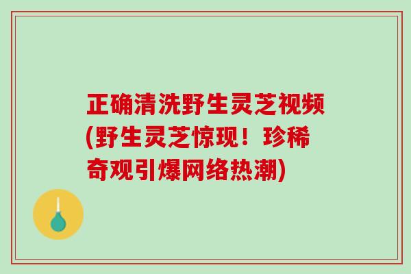正确清洗野生灵芝视频(野生灵芝惊现！珍稀奇观引爆网络热潮)