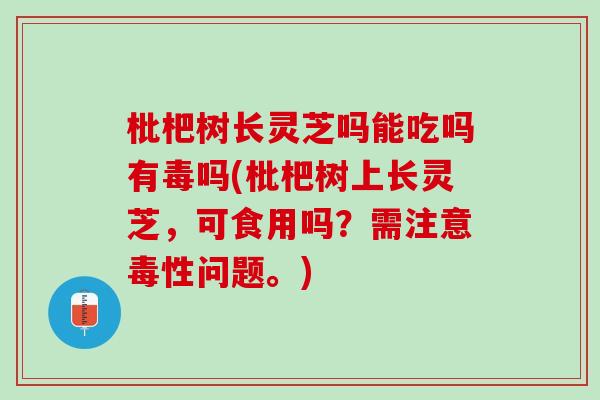 枇杷树长灵芝吗能吃吗有毒吗(枇杷树上长灵芝，可食用吗？需注意毒性问题。)