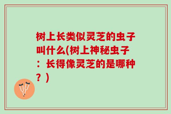树上长类似灵芝的虫子叫什么(树上神秘虫子:长得像灵芝的是哪种?) 树上长类似灵芝的虫子叫什么(树上神秘虫子:长得像灵芝的是哪种?)