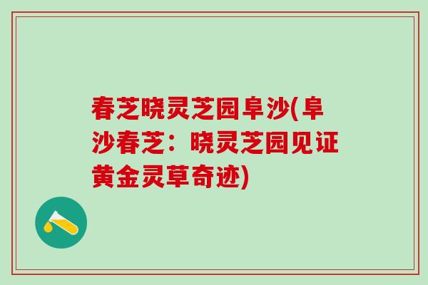 春芝晓灵芝园阜沙(阜沙春芝：晓灵芝园见证黄金灵草奇迹)