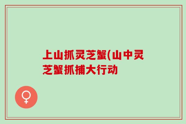 上山抓灵芝蟹(山中灵芝蟹抓捕大行动