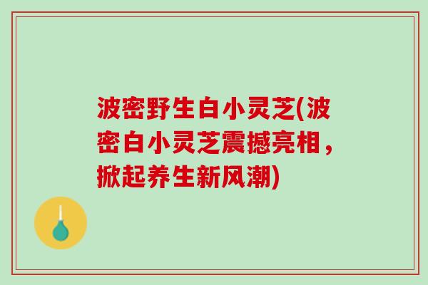 波密野生白小灵芝(波密白小灵芝震撼亮相，掀起养生新风潮)