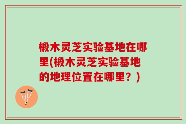 椴木灵芝实验基地在哪里(椴木灵芝实验基地的地理位置在哪里？)
