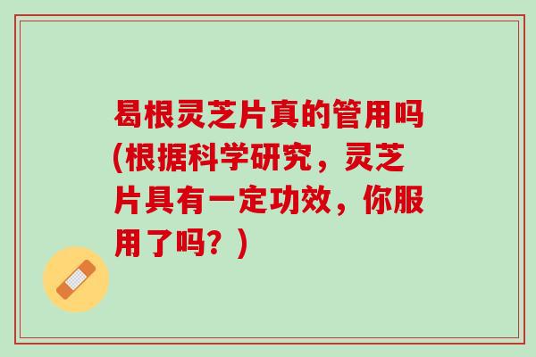 曷根灵芝片真的管用吗(根据科学研究，灵芝片具有一定功效，你服用了吗？)
