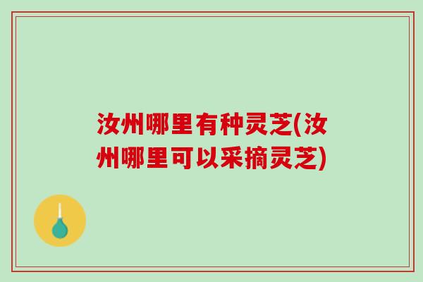 汝州哪里有种灵芝(汝州哪里可以采摘灵芝)
