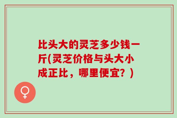 比头大的灵芝多少钱一斤(灵芝价格与头大小成正比，哪里便宜？)