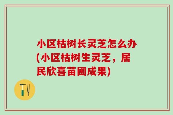 小区枯树长灵芝怎么办(小区枯树生灵芝，居民欣喜苗圃成果)