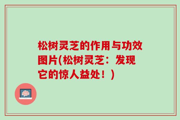 松树灵芝的作用与功效图片(松树灵芝：发现它的惊人益处！)