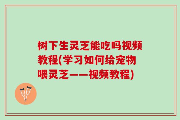 树下生灵芝能吃吗视频教程(学习如何给宠物喂灵芝——视频教程)