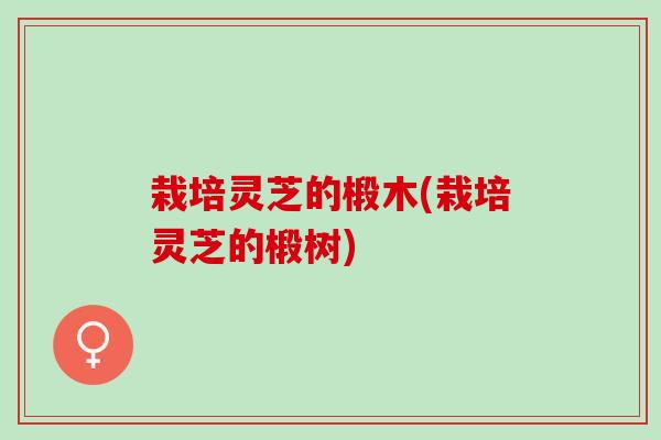 栽培灵芝的椴木(栽培灵芝的椴树)