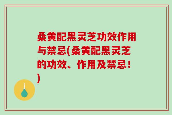 桑黄配黑灵芝功效作用与禁忌(桑黄配黑灵芝的功效、作用及禁忌！)