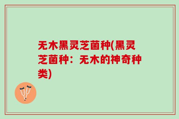 无木黑灵芝菌种(黑灵芝菌种：无木的神奇种类)
