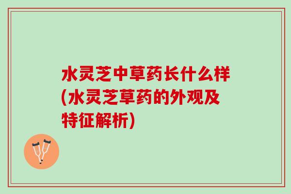 水灵芝中草药长什么样(水灵芝草药的外观及特征解析)