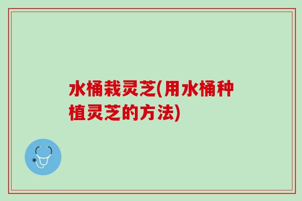 水桶栽灵芝(用水桶种植灵芝的方法)