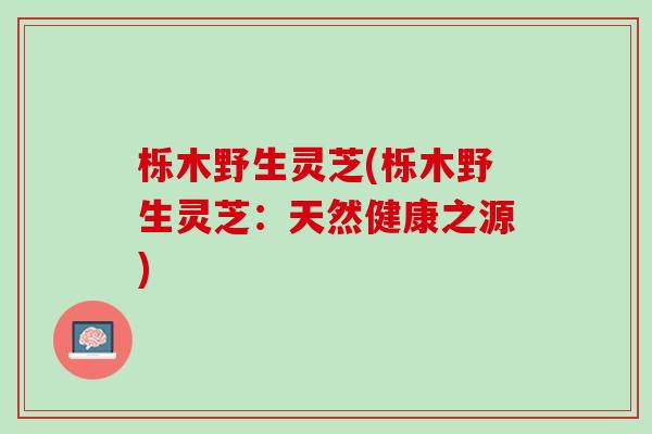栎木野生灵芝(栎木野生灵芝：天然健康之源)