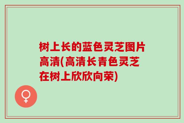 树上长的蓝色灵芝图片高清(高清长青色灵芝在树上欣欣向荣)