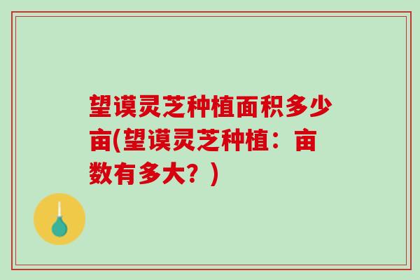 望谟灵芝种植面积多少亩(望谟灵芝种植：亩数有多大？)
