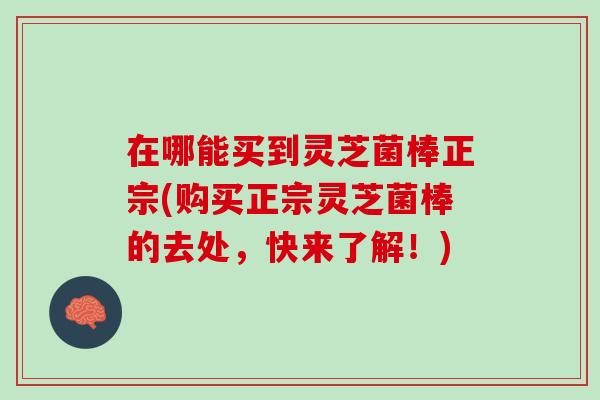 在哪能买到灵芝菌棒正宗(购买正宗灵芝菌棒的去处，快来了解！)