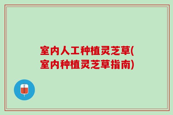 室内人工种植灵芝草(室内种植灵芝草指南)