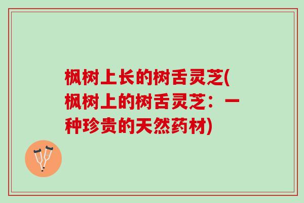 枫树上长的树舌灵芝(枫树上的树舌灵芝：一种珍贵的天然药材)