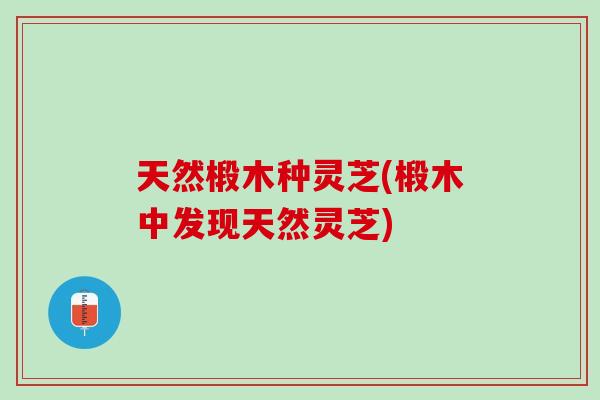 天然椴木种灵芝(椴木中发现天然灵芝)