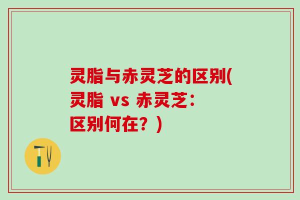 灵脂与赤灵芝的区别(灵脂 vs 赤灵芝：区别何在？)