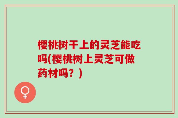 樱桃树干上的灵芝能吃吗(樱桃树上灵芝可做药材吗？)