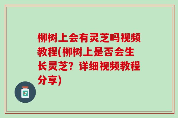 柳树上会有灵芝吗视频教程(柳树上是否会生长灵芝？详细视频教程分享)