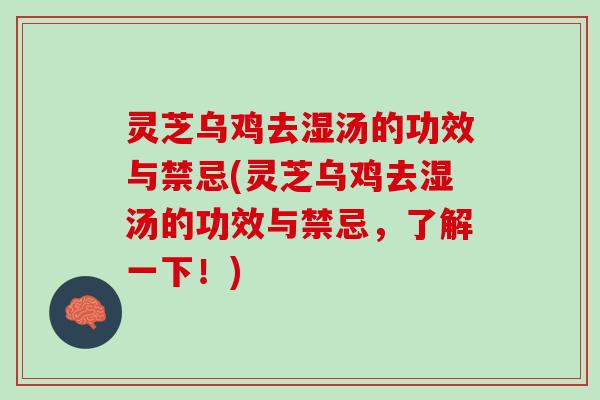 灵芝乌鸡去湿汤的功效与禁忌(灵芝乌鸡去湿汤的功效与禁忌，了解一下！)