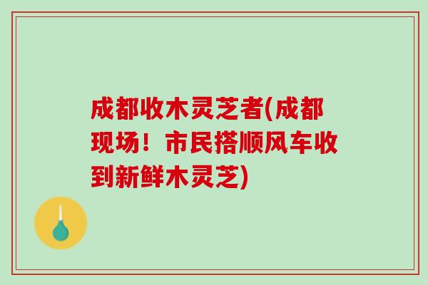 成都收木灵芝者(成都现场！市民搭顺风车收到新鲜木灵芝)